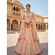 Luxury Velvet Designer Bridal Embroidery Lehenga Choli Readymade