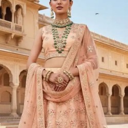 Luxury Velvet Designer Bridal Embroidery Lehenga Choli Readymade