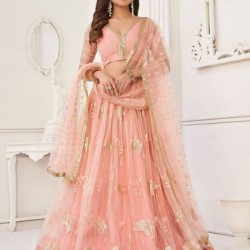 Butterfly Net With Embroidery And Fancy Lehenga Choli Readymade