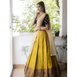 Sequin Embroidered Velvet Special lehenga choli set
