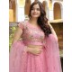 Beautiful Baby Pink Fancy Embroidery Net Lehenga Choli Readymade Beautiful Baby Pink Fancy Embroidery Net Lehenga Choli Readymade